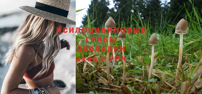 Галлюциногенные грибы MAGIC MUSHROOMS Новоуральск